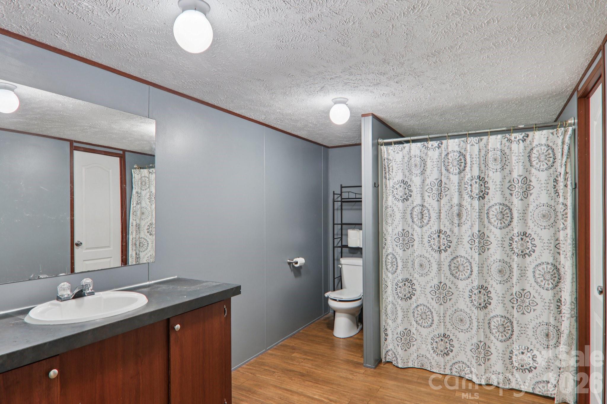 4 Sweet Birch Drive Alexander, NC 28701 - Photo 30 of 48 a spacious bathroom with a granite countertop sink a toilet and a mirror