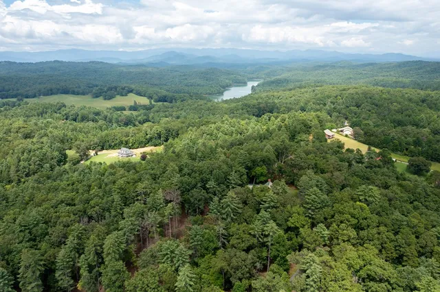 an aerial view of houses covered in trees