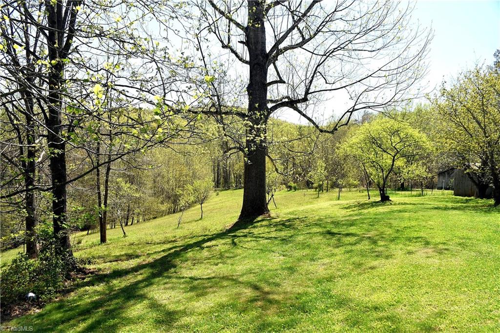 915 Old Lowgap Road Mount Airy, NC 27030 - Photo 28 of 29 Gallery Image 28