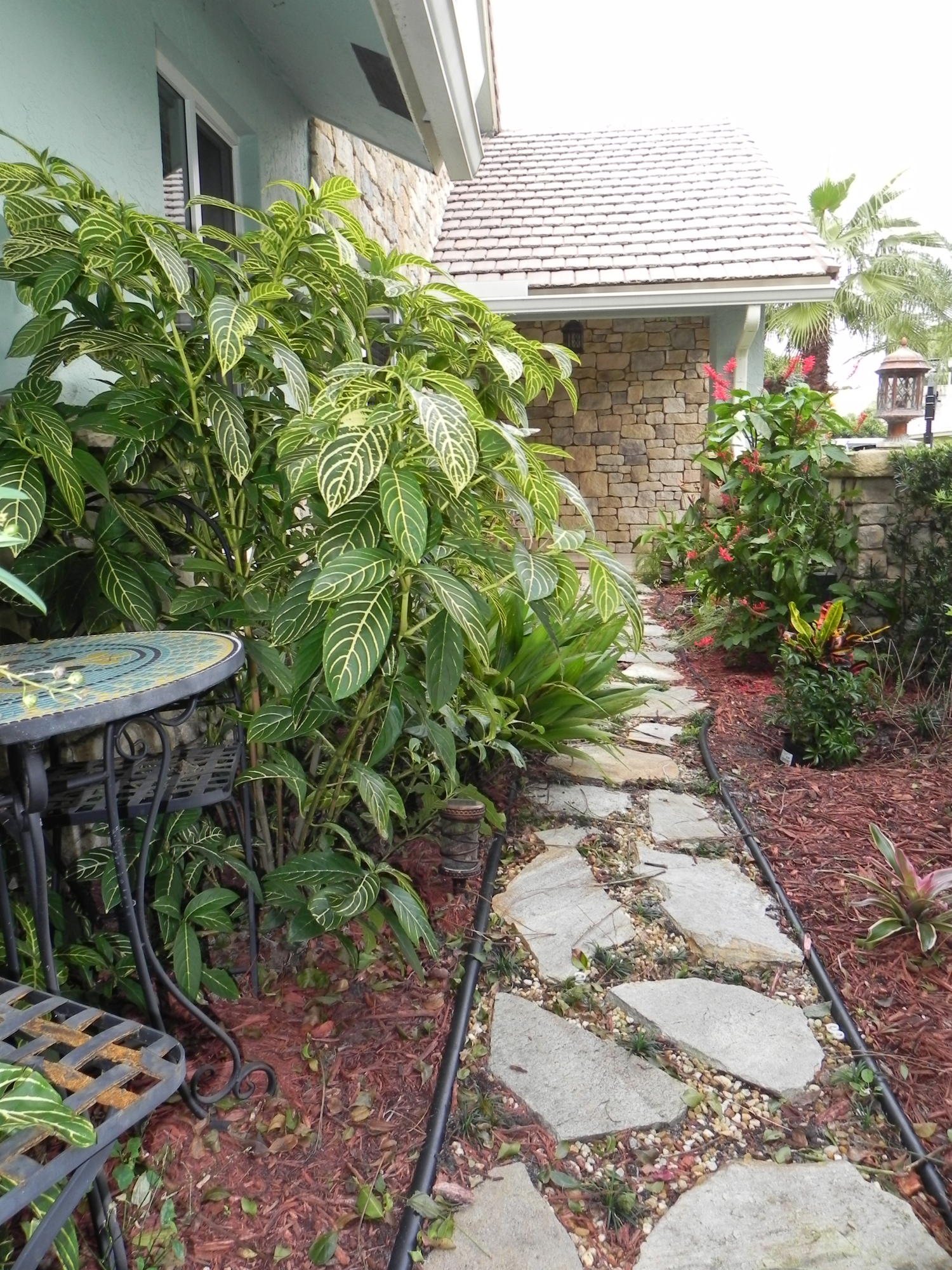 2495 Northwest 39th Street Boca Raton, FL 33431 - Photo 48 of 56 DSCN9520