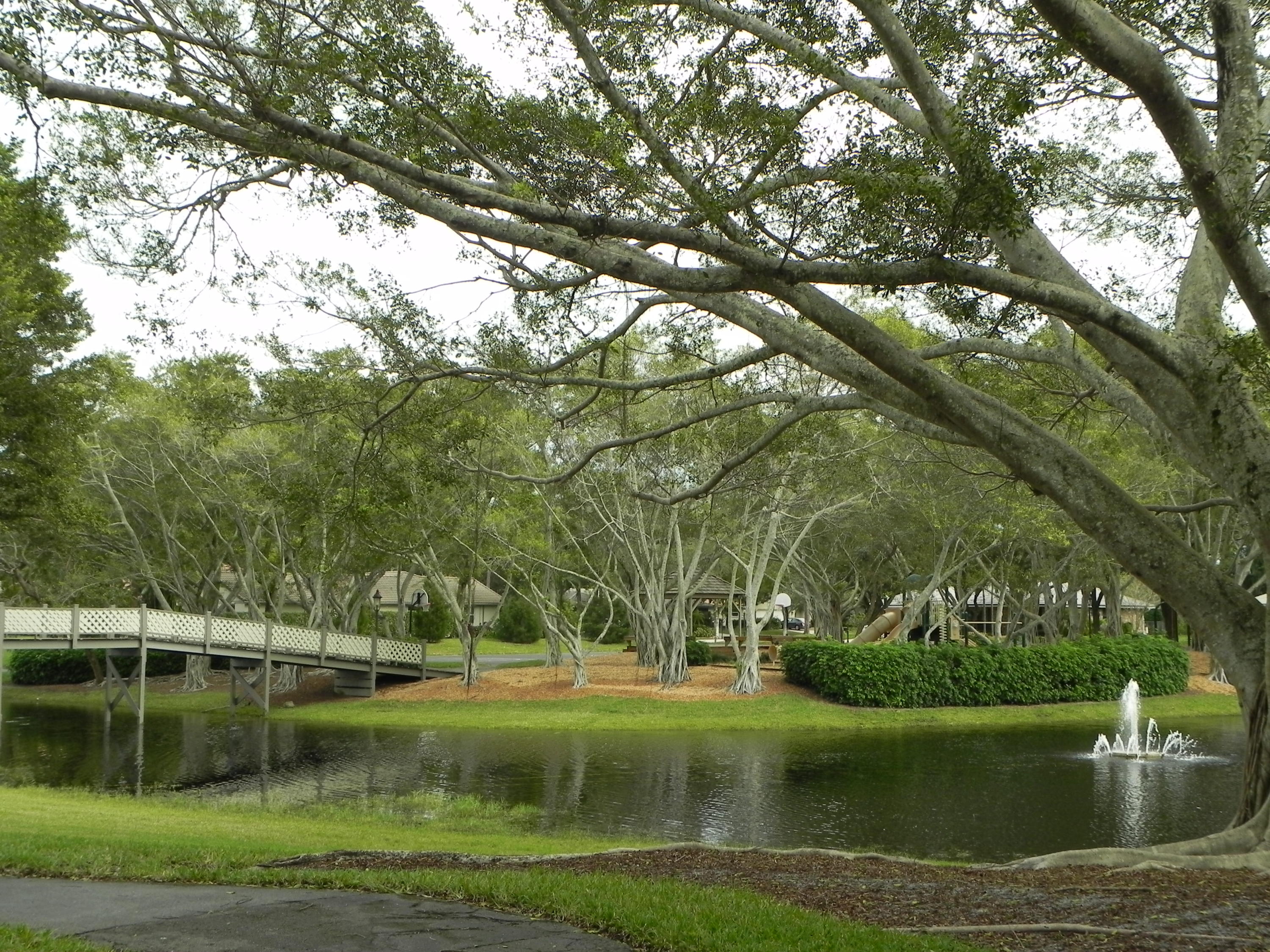 2495 Northwest 39th Street Boca Raton, FL 33431 - Photo 51 of 56 DSCN9536