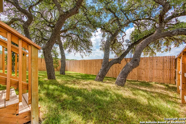 a view of backyard with tree