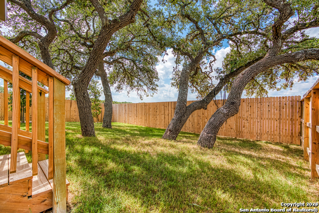 27319 Sterling Silver San Antonio, TX 78260 - Photo 28 of 28 a view of backyard with tree