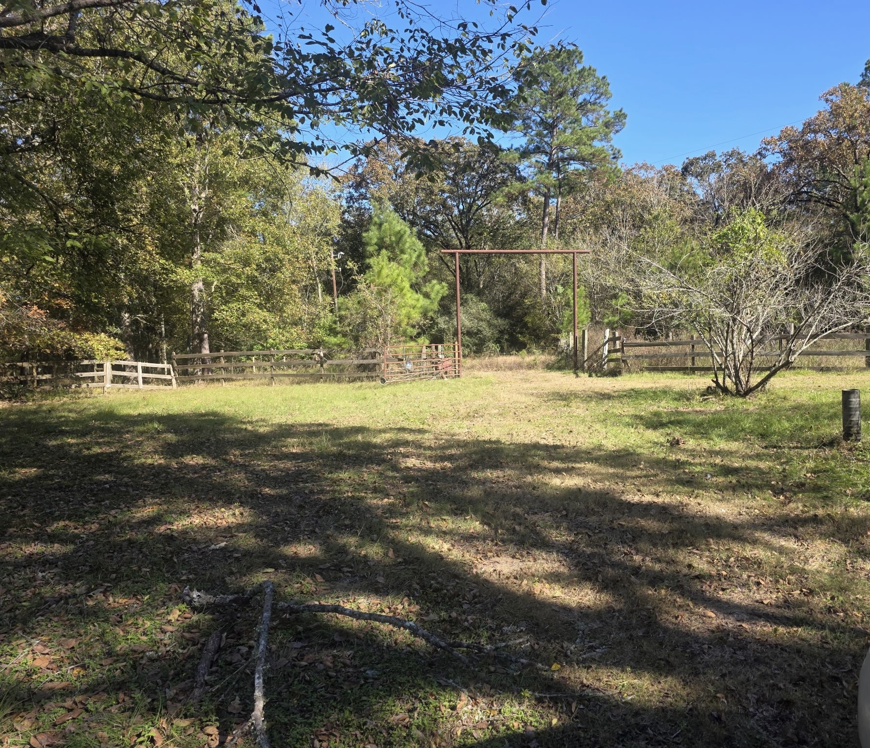 633 Ira Denson Road Coldspring, TX 77331 - Photo 10 of 27 a view of a yard with an trees