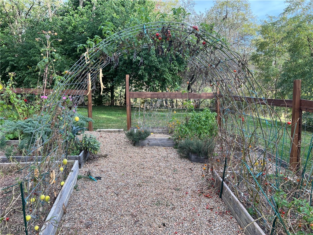 7660 Vandemark Road Lodi, OH 44254 - Photo 8 of 28 Vegetable garden entrance