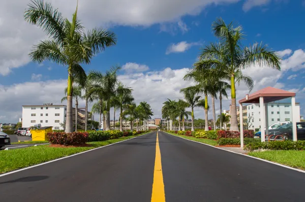 a view of a street with a building and palm trees