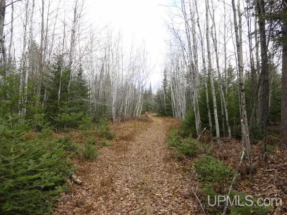 6784 32nd Road Rapid River, MI 49878 - Photo 17 of 36 Gallery Image 17