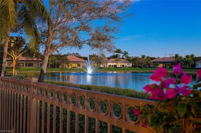 a view of a lake with a tree
