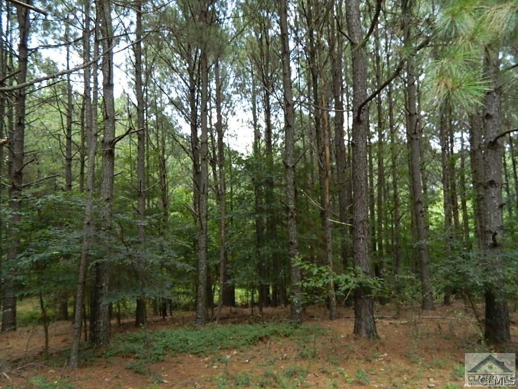 199 Young Road Rayle, GA 30660 - Photo 28 of 42 Gallery Image 28