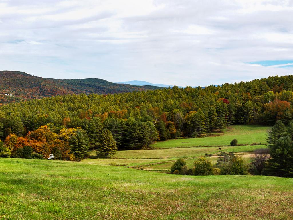 41 Old Moses Farm Road Strafford, VT 05070 - Photo 27 of 36