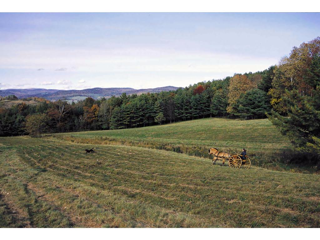 41 Old Moses Farm Road Strafford, VT 05070 - Photo 28 of 36