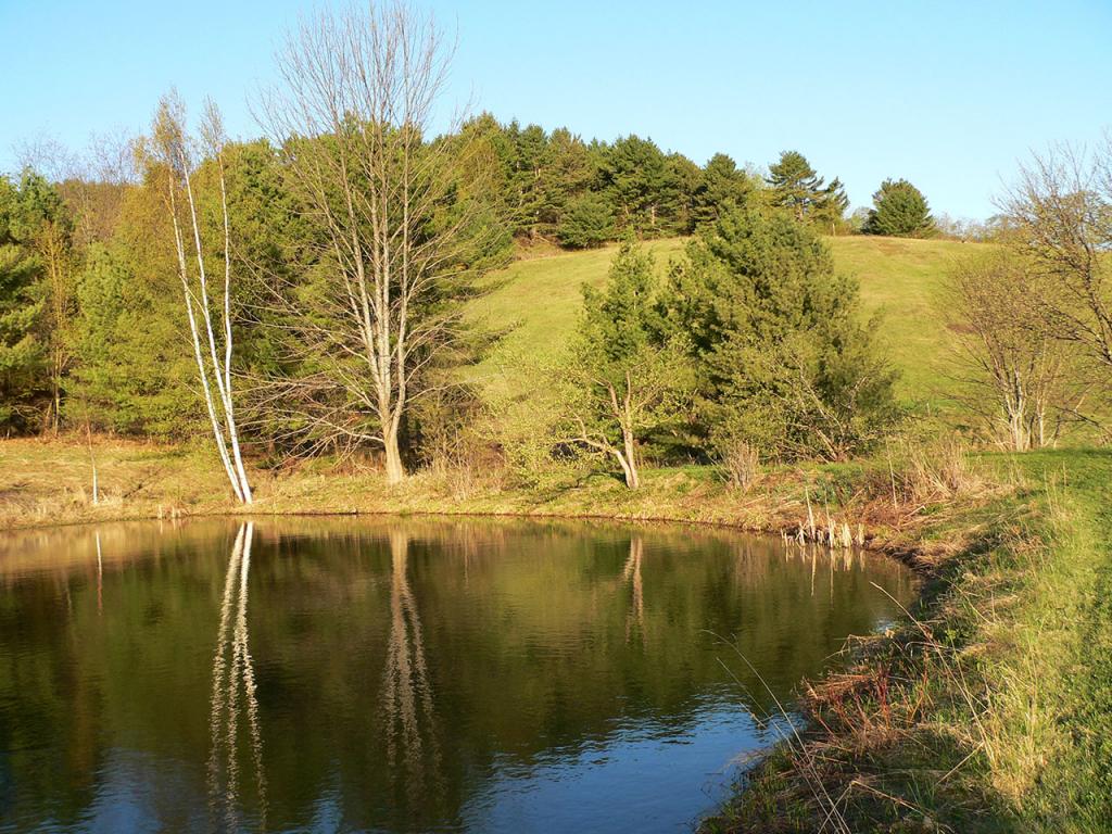 41 Old Moses Farm Road Strafford, VT 05070 - Photo 30 of 36