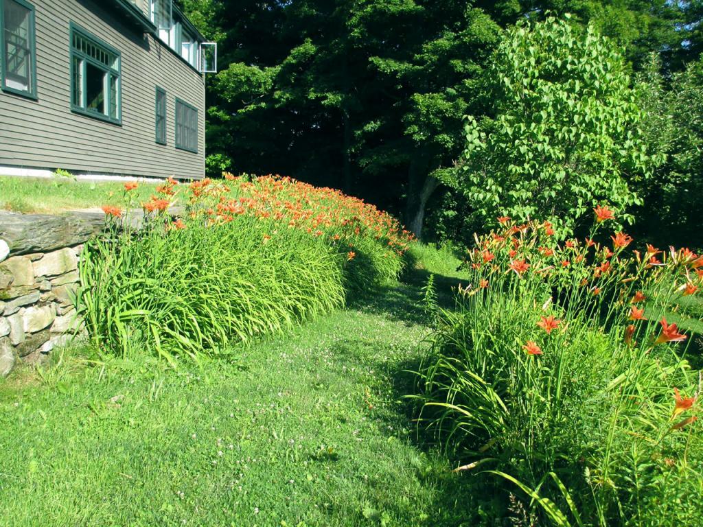 41 Old Moses Farm Road Strafford, VT 05070 - Photo 5 of 36