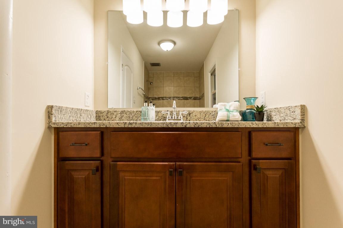 373 Cropp Road Fredericksburg, VA 22406 - Photo 14 of 30 Full Master Bath with shower/tub, granite vanity