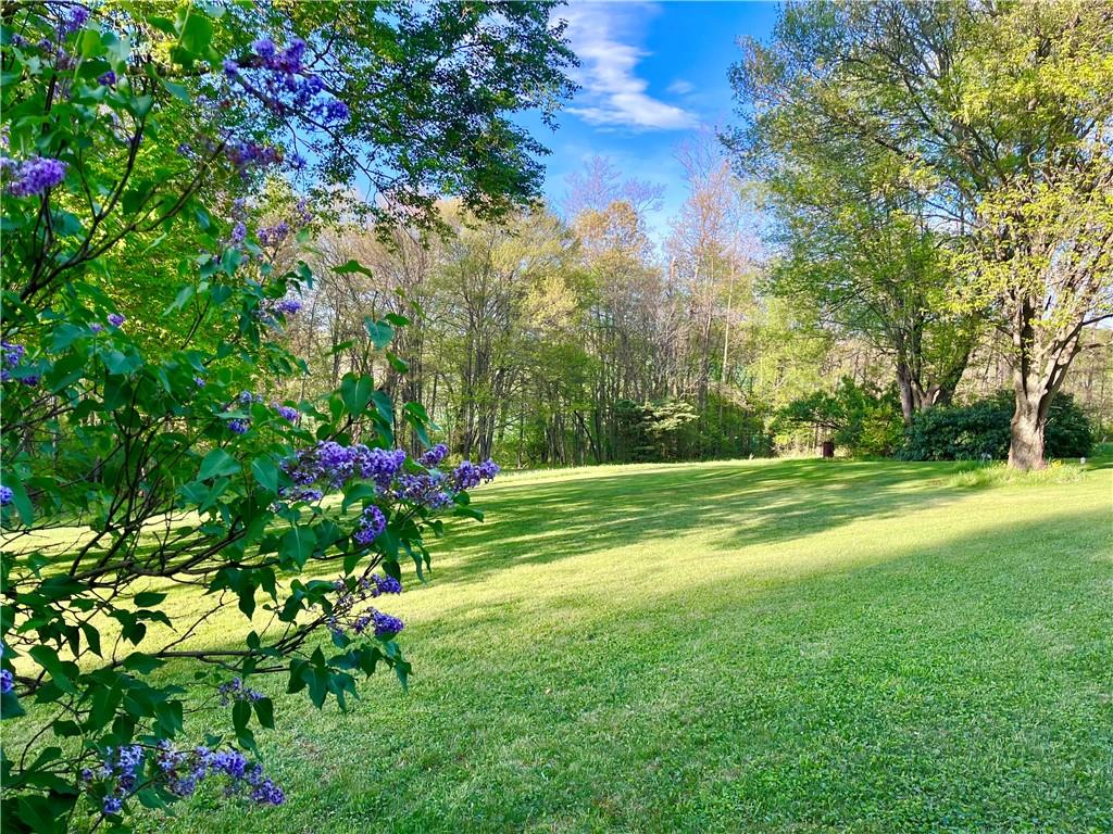 143 Schnur Road Butler, PA 16002 - Photo 11 of 50 a view of a garden