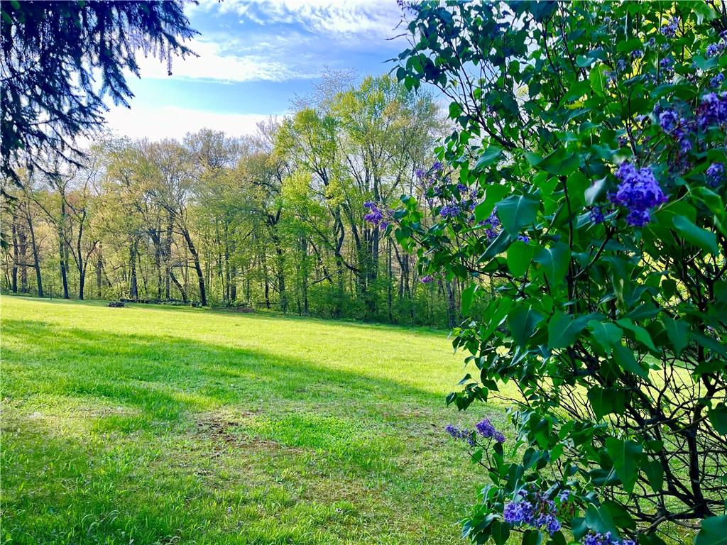 143 Schnur Road Butler, PA 16002 - Photo 13 of 50 a view of a yard with a tree