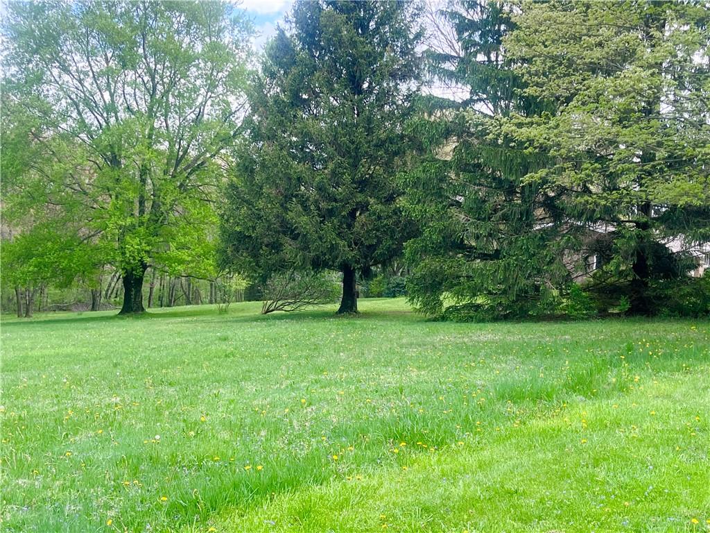 143 Schnur Road Butler, PA 16002 - Photo 16 of 50 a view of a trees in a yard