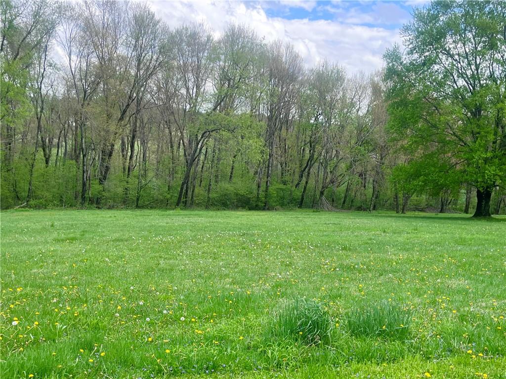 143 Schnur Road Butler, PA 16002 - Photo 17 of 50 a view of backyard with green space