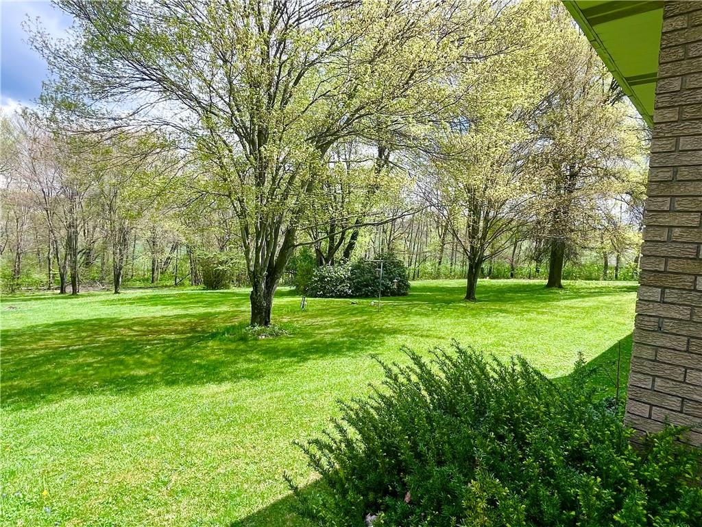 143 Schnur Road Butler, PA 16002 - Photo 25 of 50 a big yard with lots of green space