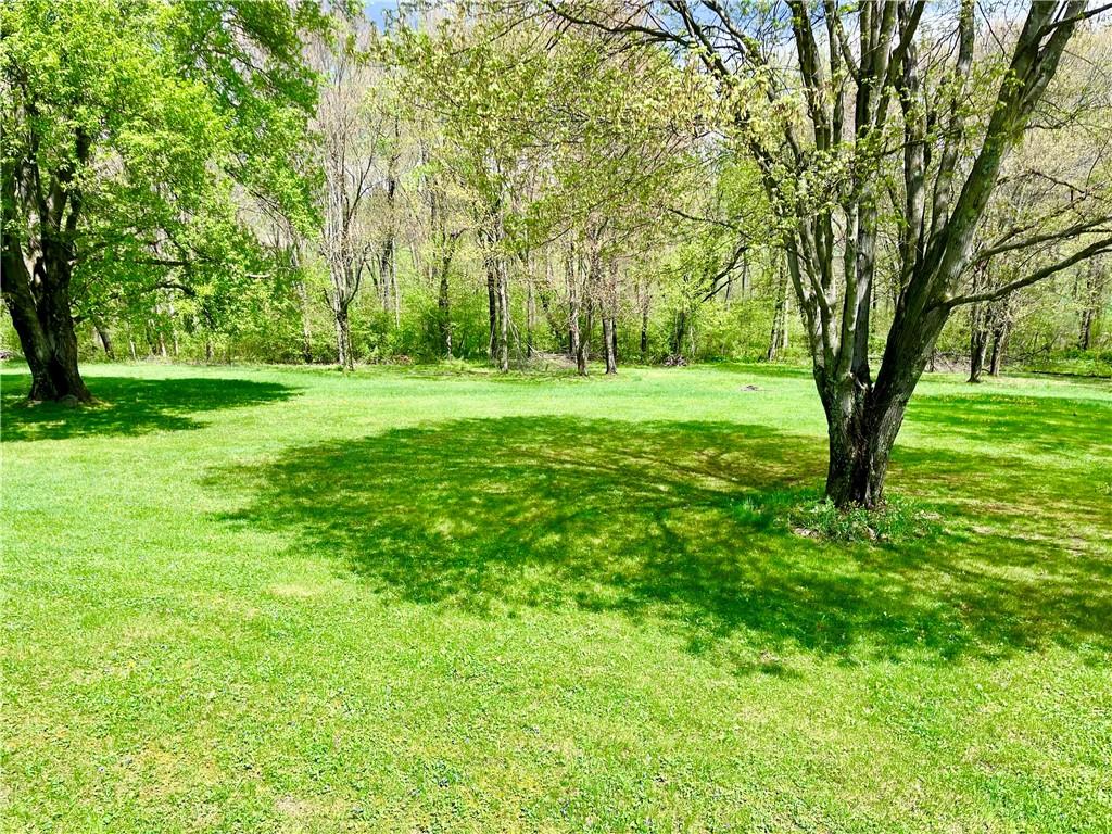 143 Schnur Road Butler, PA 16002 - Photo 26 of 50 a view of yard with trees