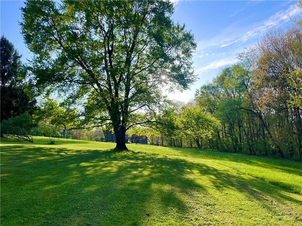 143 Schnur Road Butler, PA 16002 - Photo 6 of 50 a view of an trees with a big yard