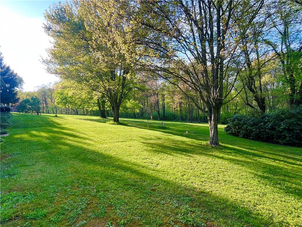 143 Schnur Road Butler, PA 16002 - Photo 9 of 50 a view of a park with large trees