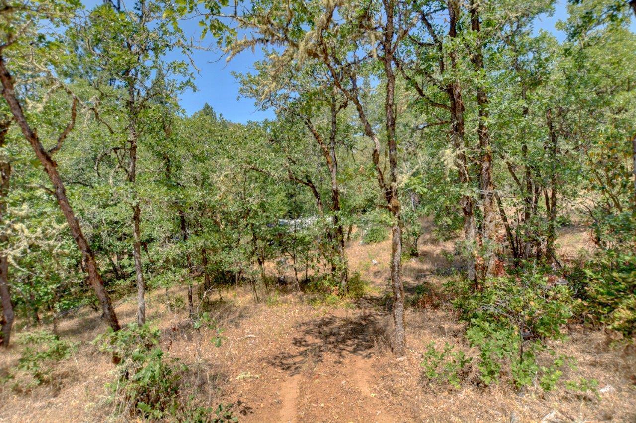 1320 Wards Creek Road Rogue River, OR 97537 - Photo 33 of 35 33