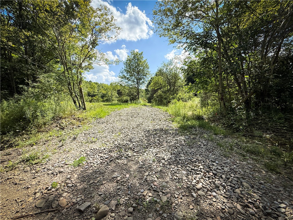 North Greenbush Road Erin, NY 14838 - Photo 10 of 46 Gallery Image 10