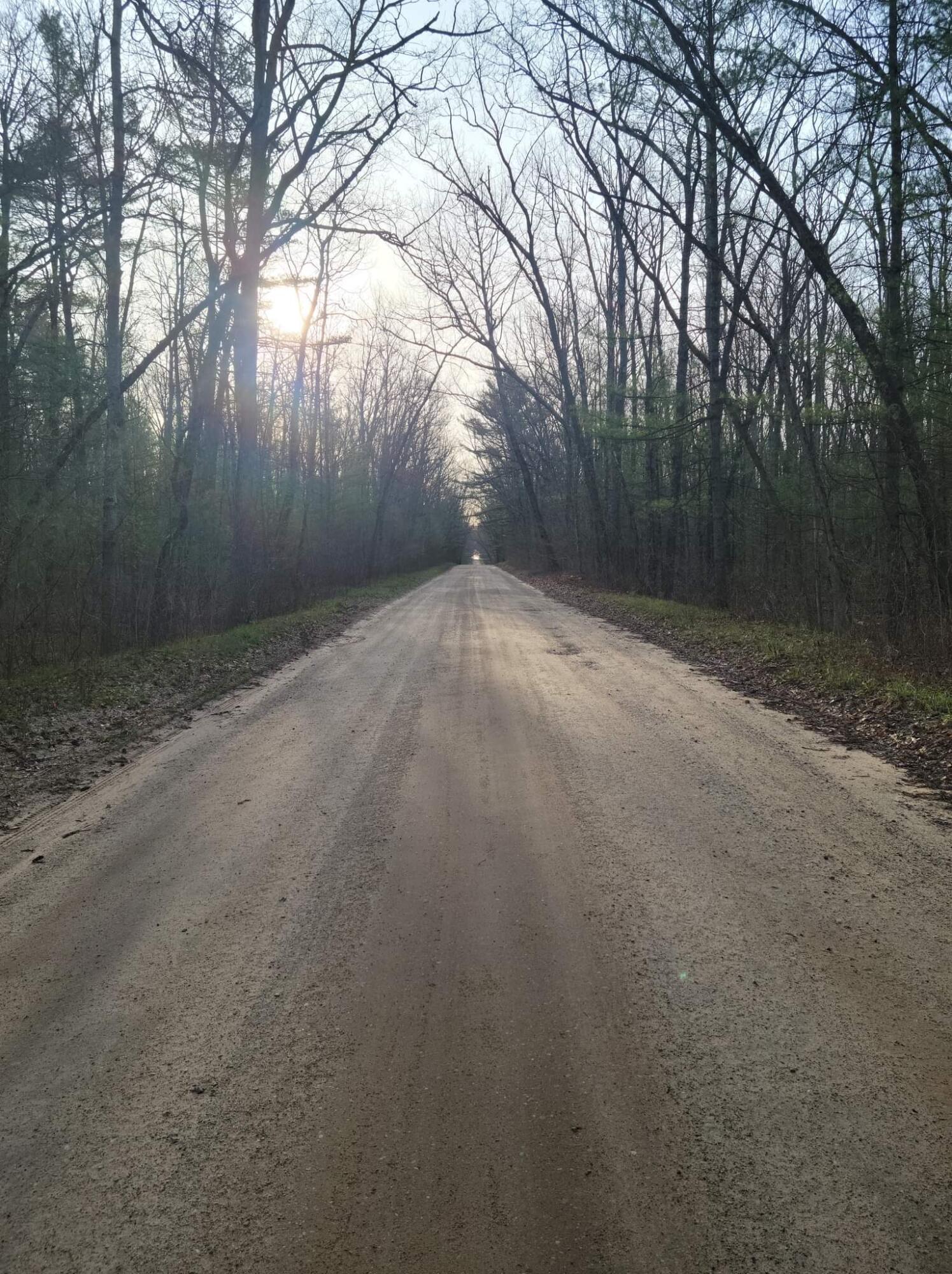 0 Steinberg Road Wellston, MI 49689 - Photo 1 of 9 received_1375346622932885