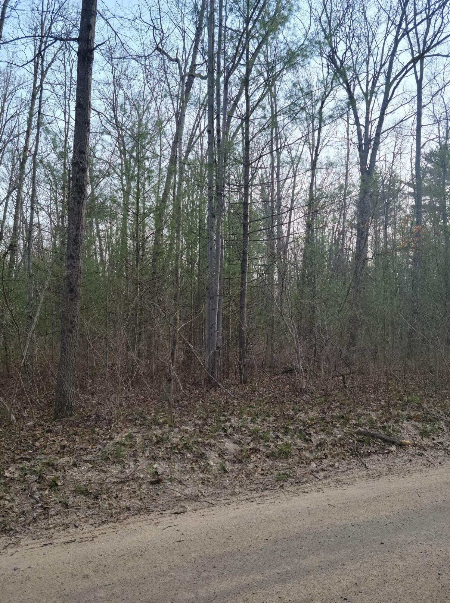 0 Steinberg Road Wellston, MI 49689 - Photo 2 of 9 received_3248326278826367