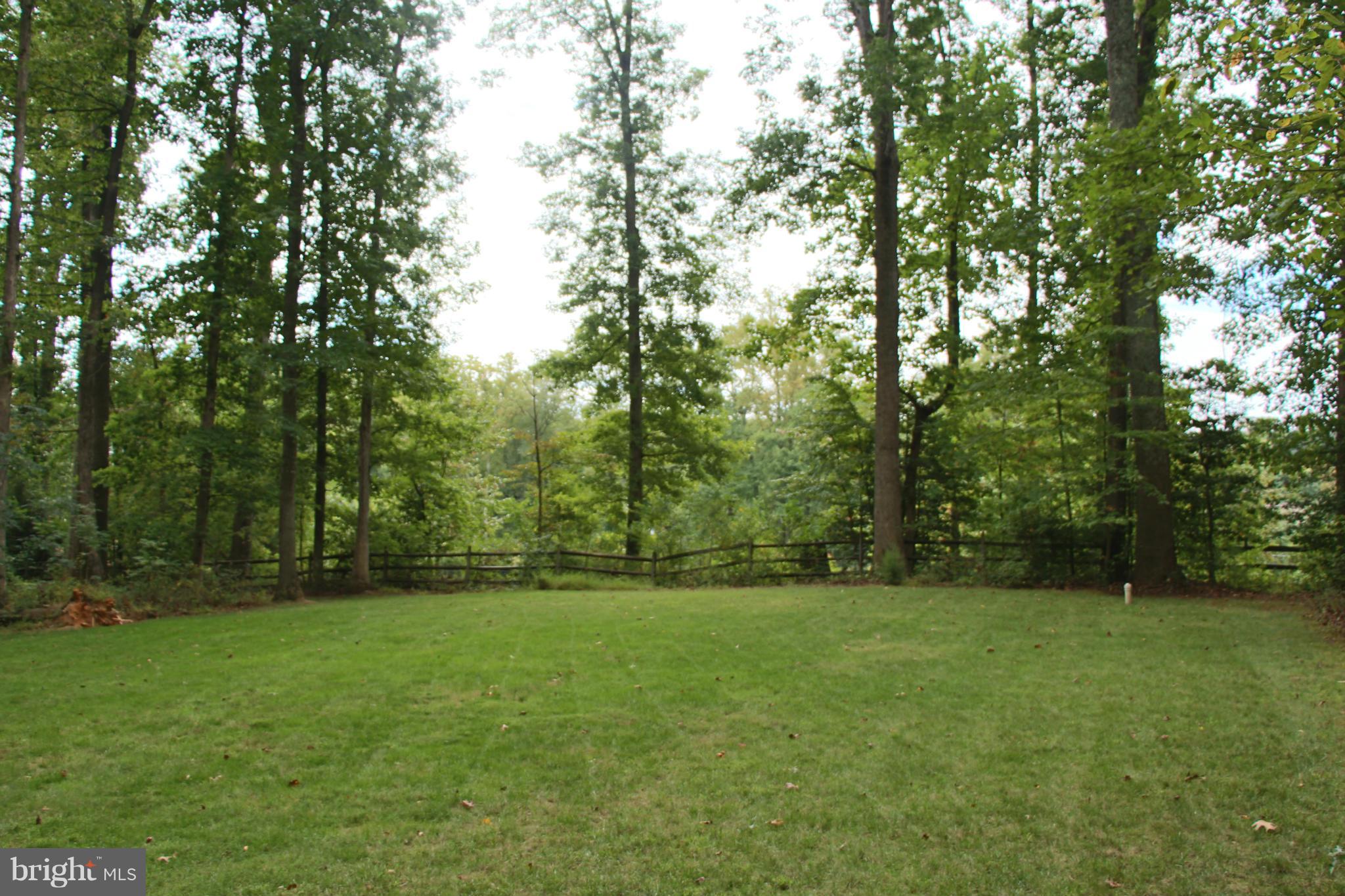 3118 Hunt Road Oakton, VA 22124 - Photo 25 of 30 Level Payable Yard