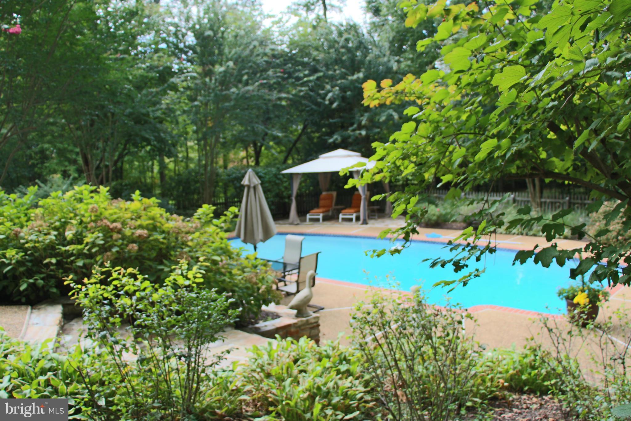 3118 Hunt Road Oakton, VA 22124 - Photo 4 of 30 In-ground Anthony Pool w Fountain