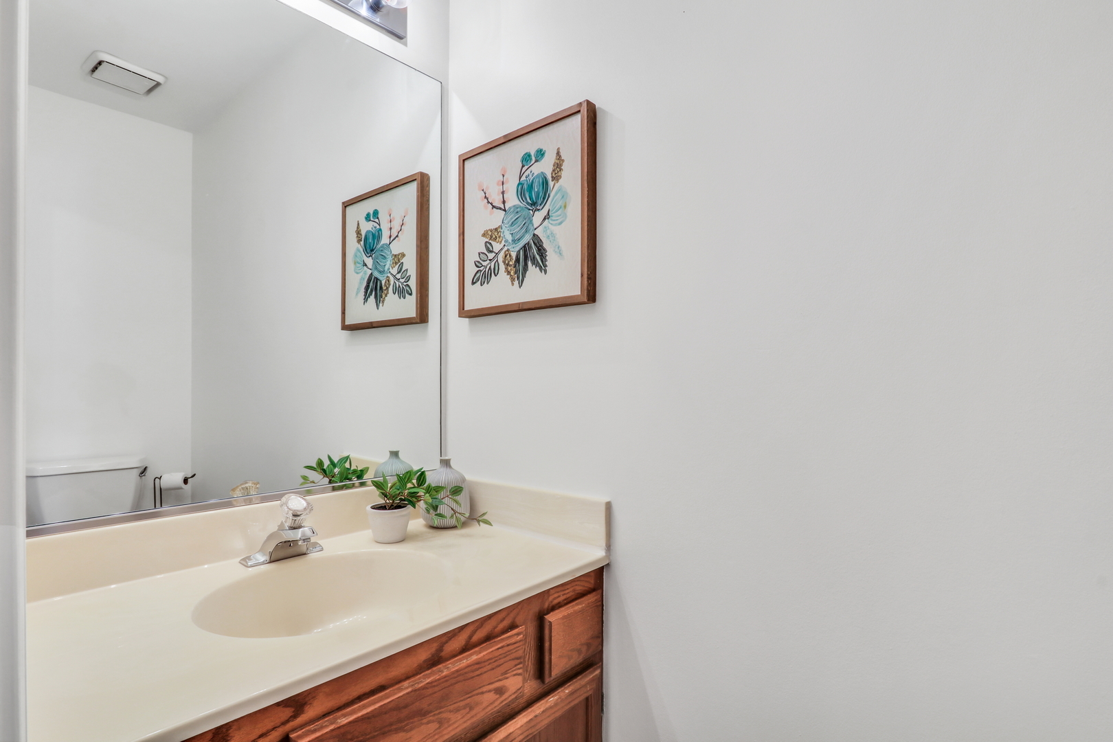 269 Braxton Way Grayslake, IL 60030 - Photo 18 of 38 a bathroom with a sink and a mirror