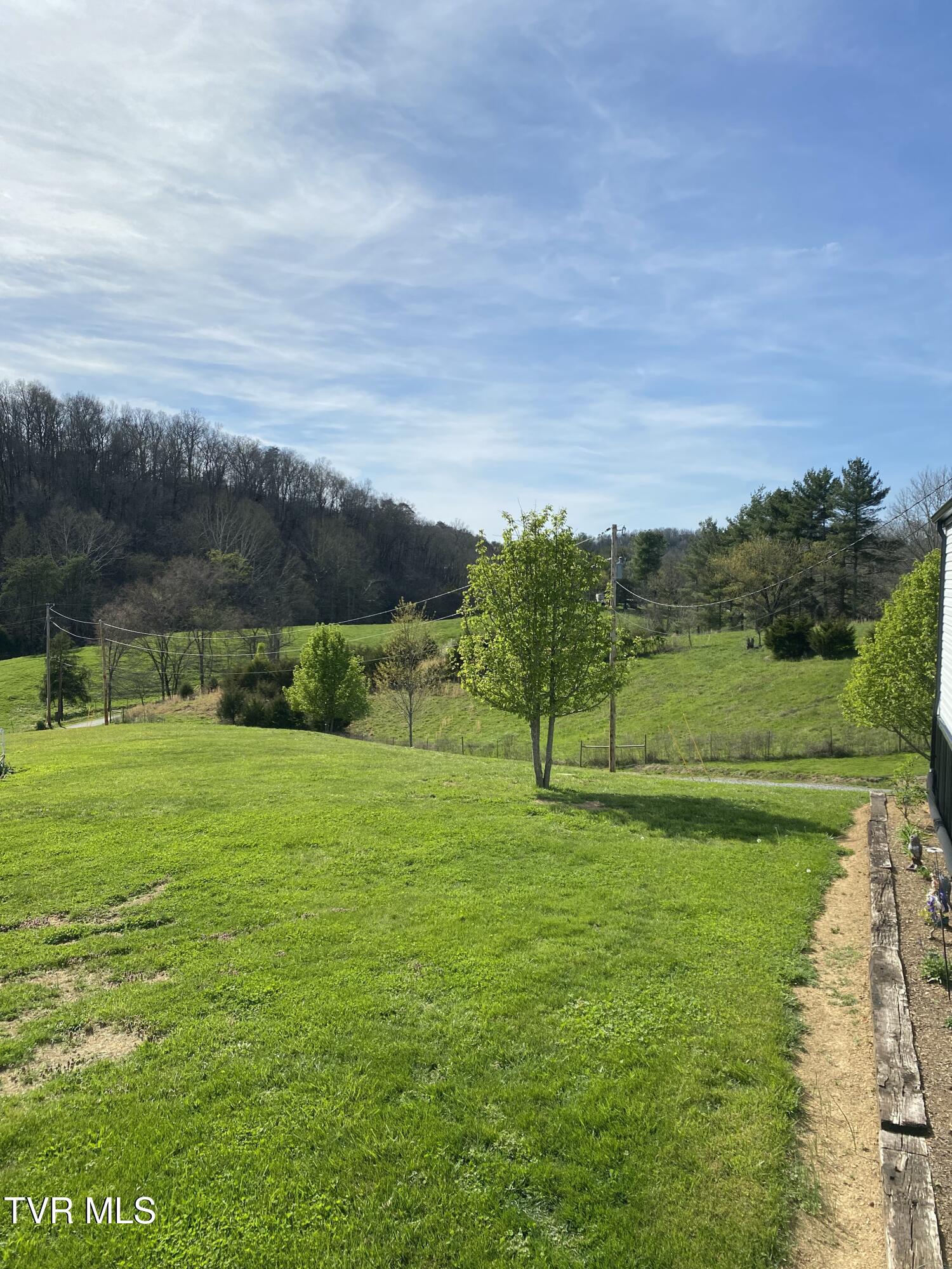 1885 Snake Hollow Road Greeneville, TN 37743 - Photo 25 of 29 IMG_1242(1)