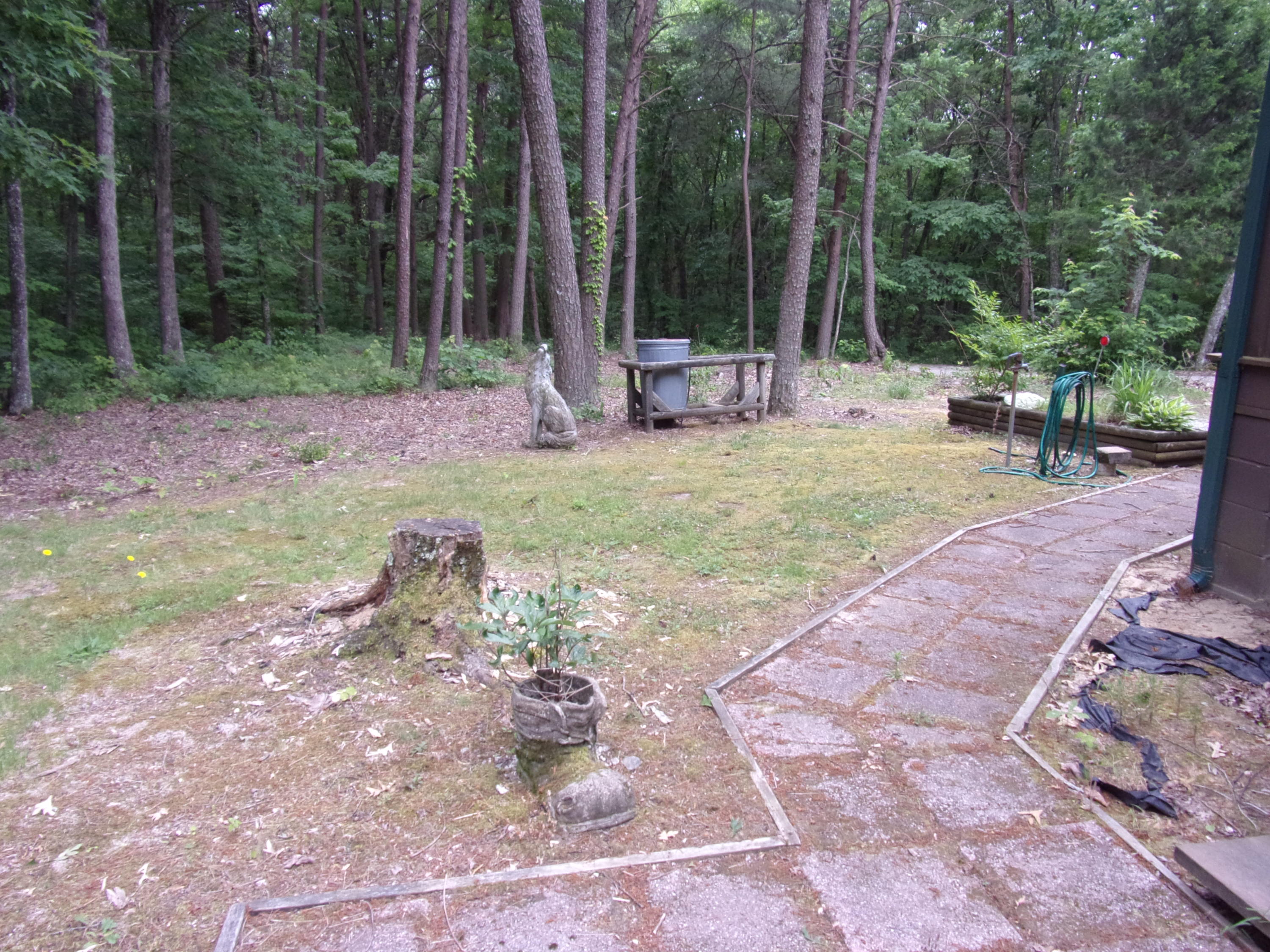 1797 Fernhill Road Pikeville, TN 37367 - Photo 13 of 51 101_2988