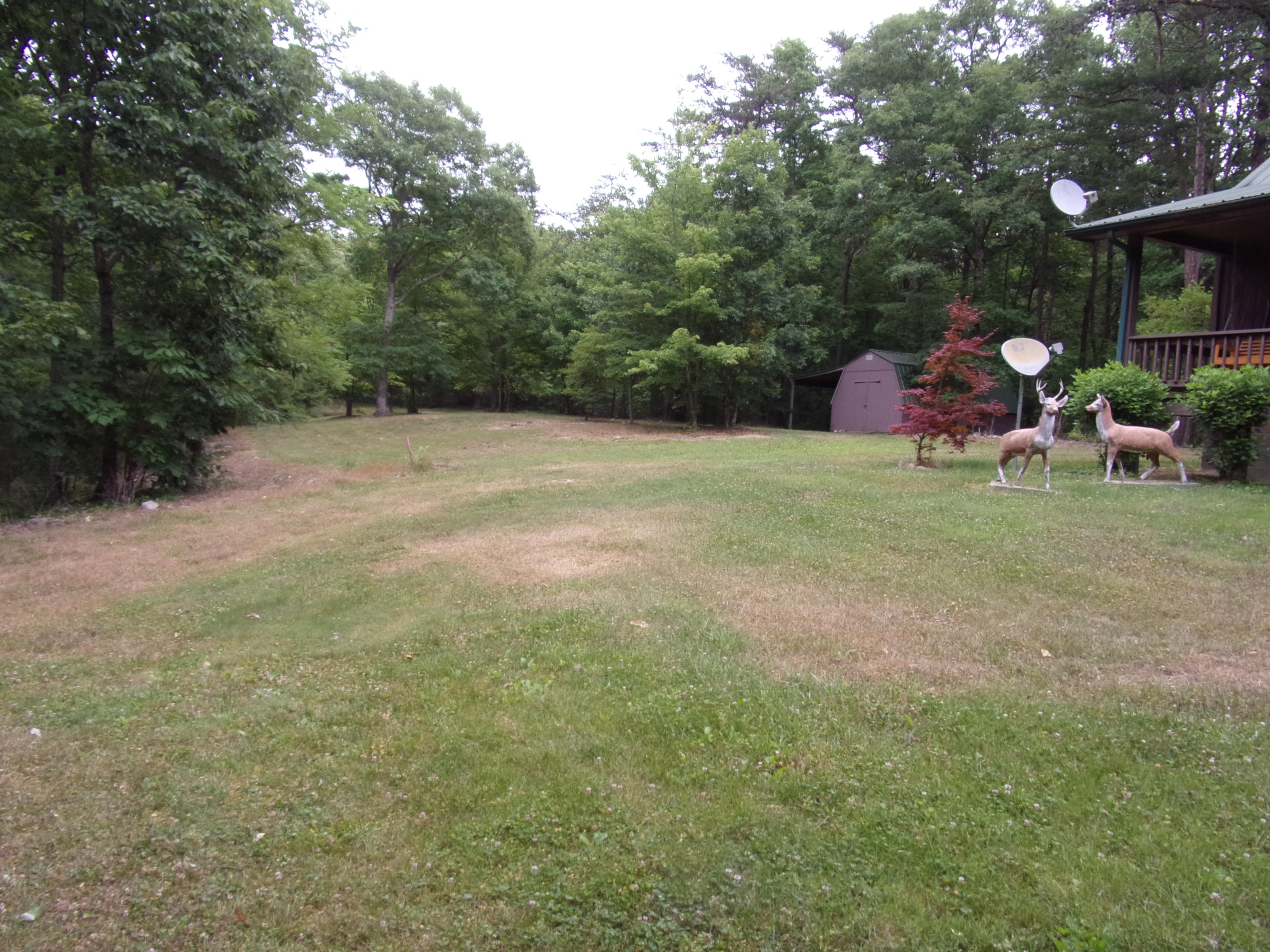 1797 Fernhill Road Pikeville, TN 37367 - Photo 15 of 51 101_2978