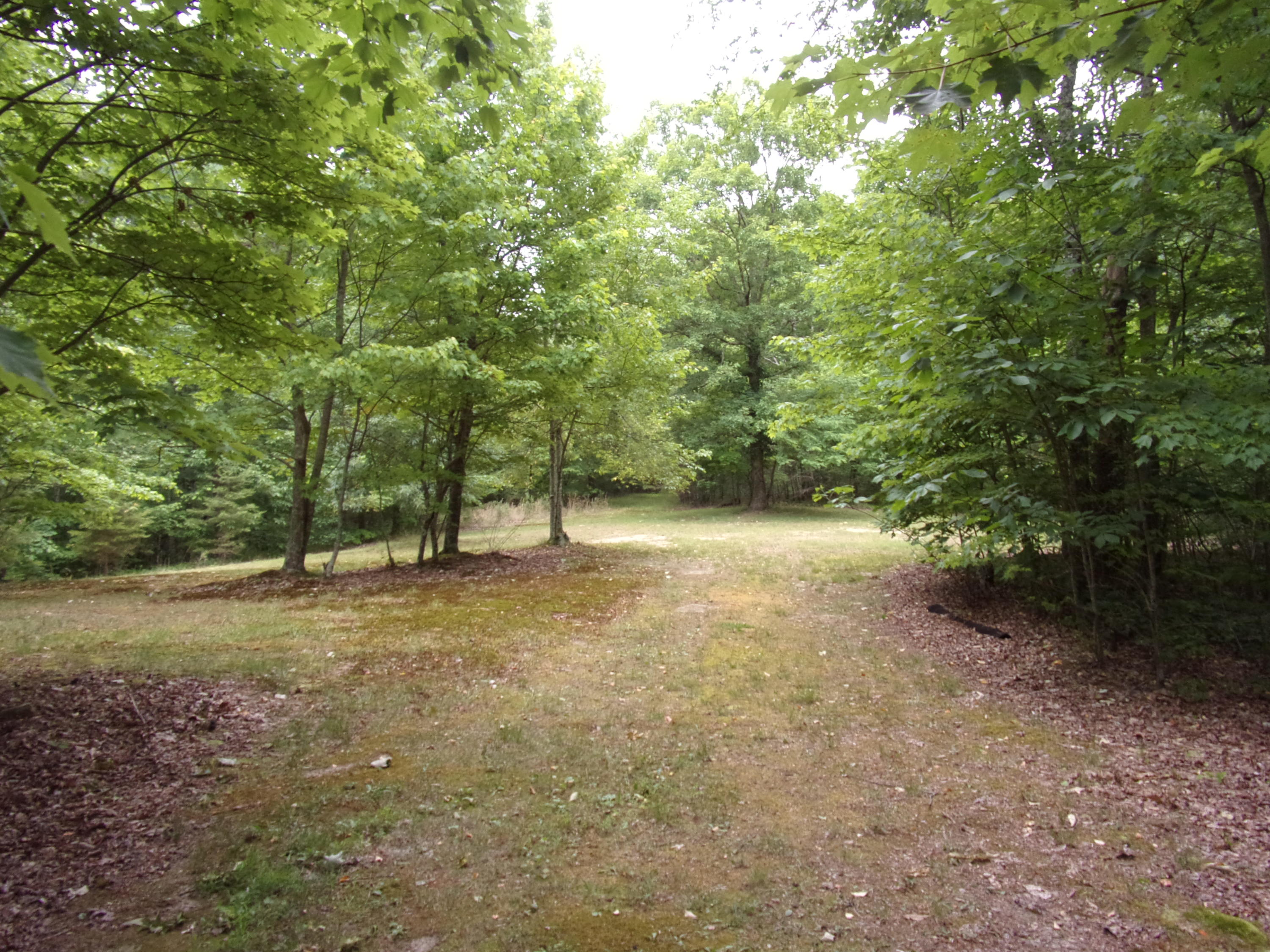 1797 Fernhill Road Pikeville, TN 37367 - Photo 19 of 51 101_2983