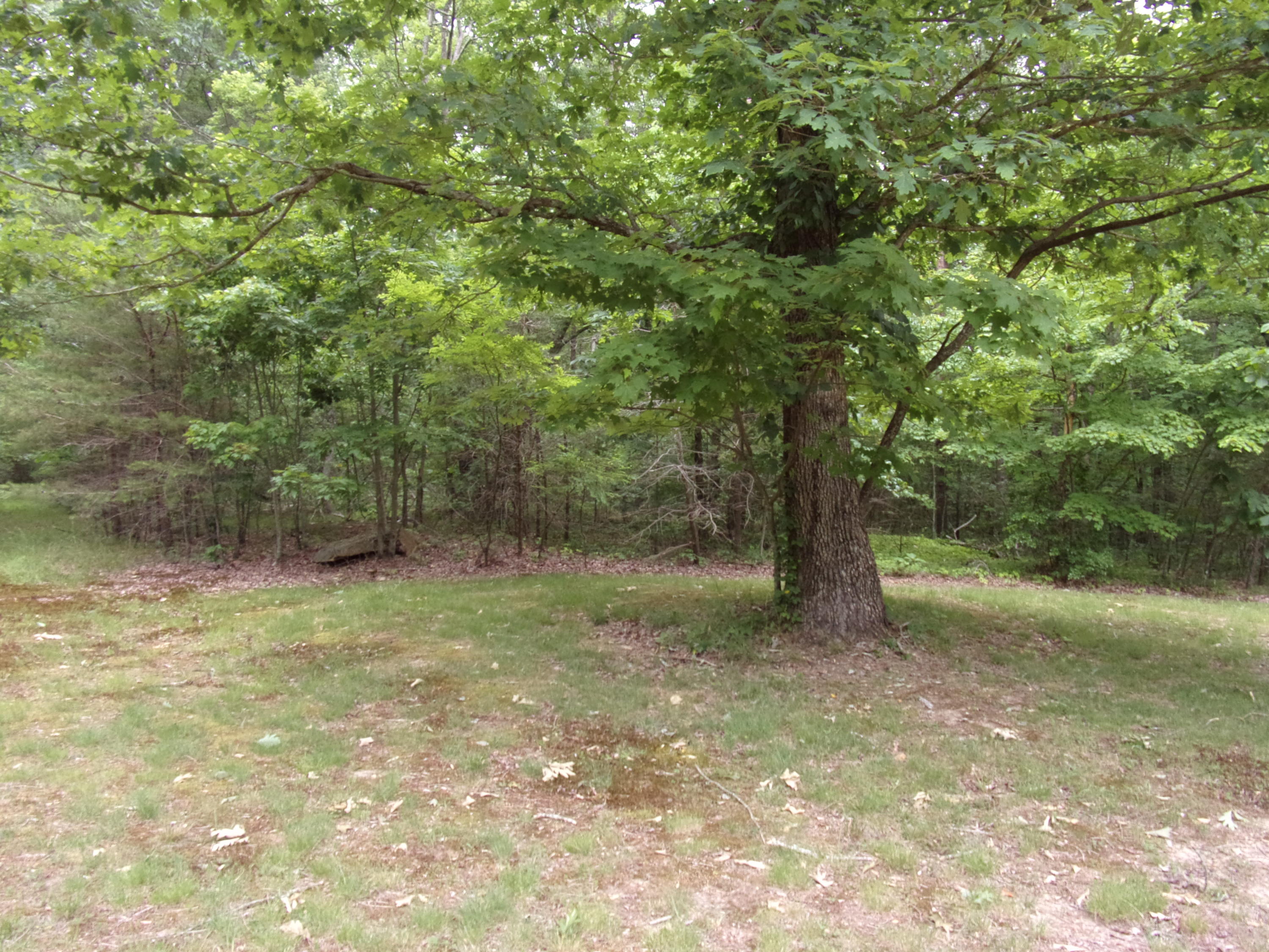 1797 Fernhill Road Pikeville, TN 37367 - Photo 20 of 51 101_2984