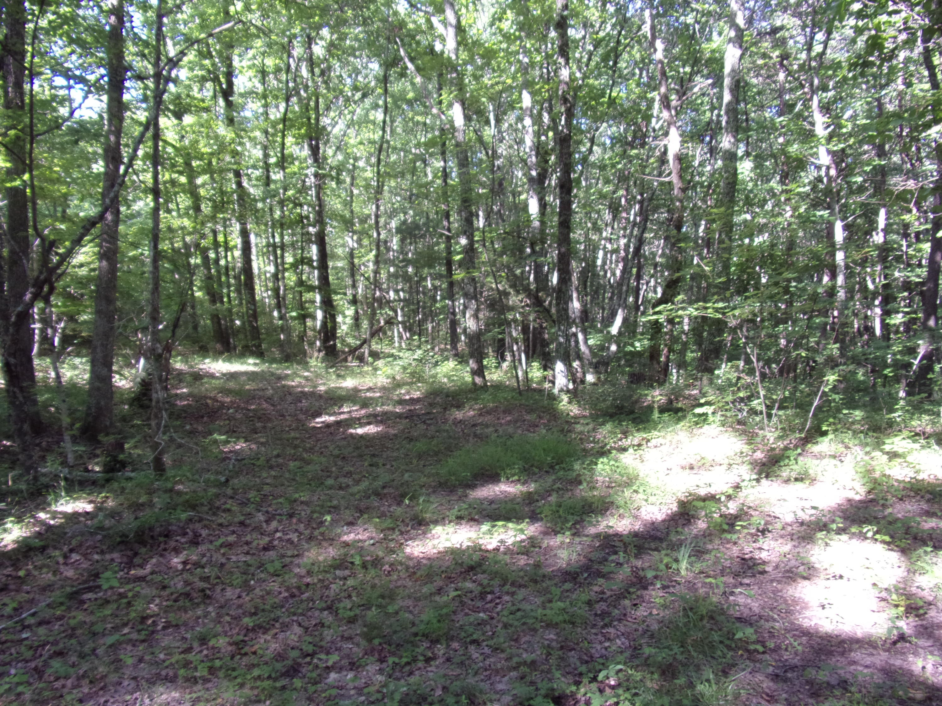 1797 Fernhill Road Pikeville, TN 37367 - Photo 36 of 51 101_3010