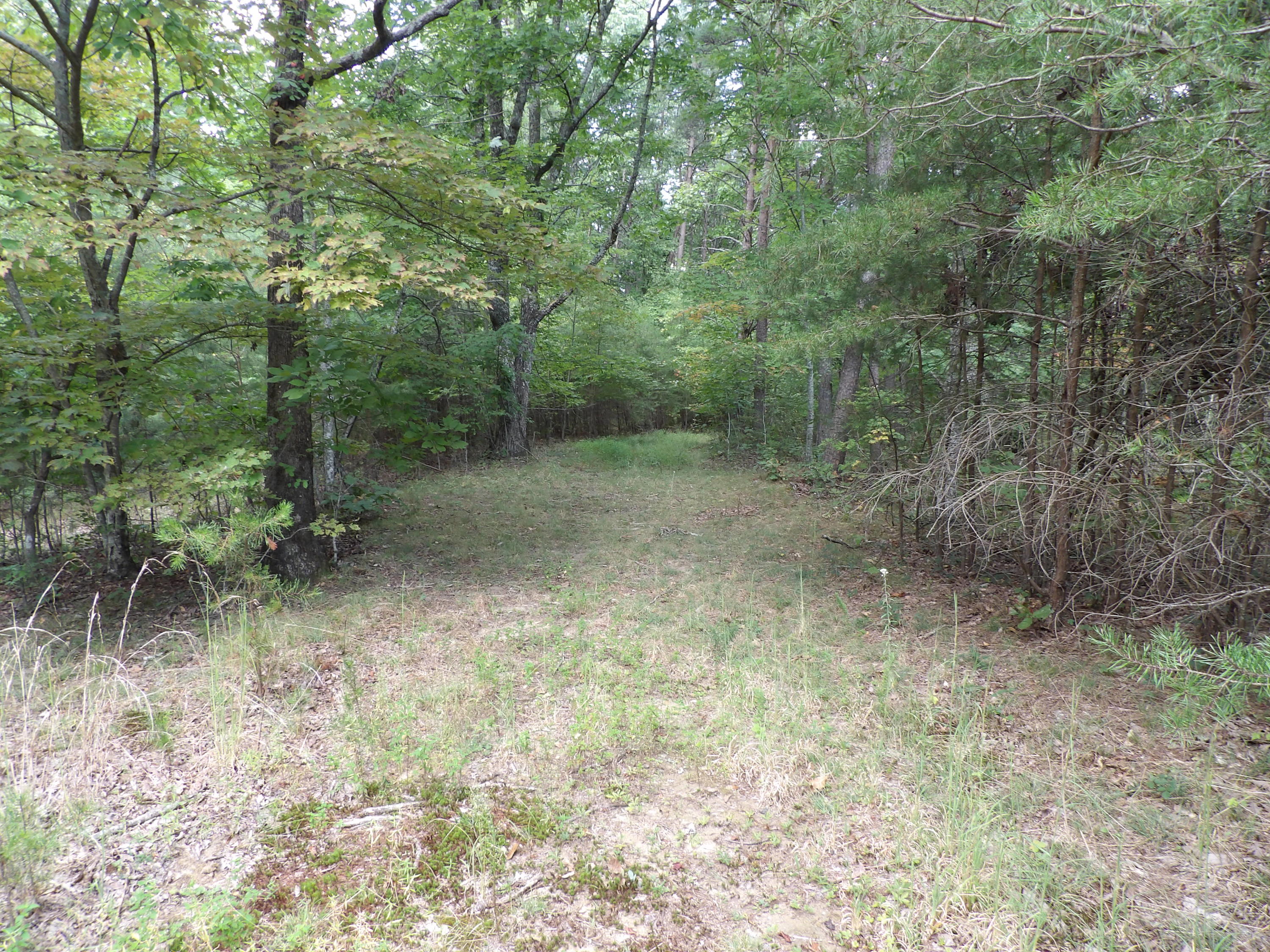 1797 Fernhill Road Pikeville, TN 37367 - Photo 42 of 51 100_0106