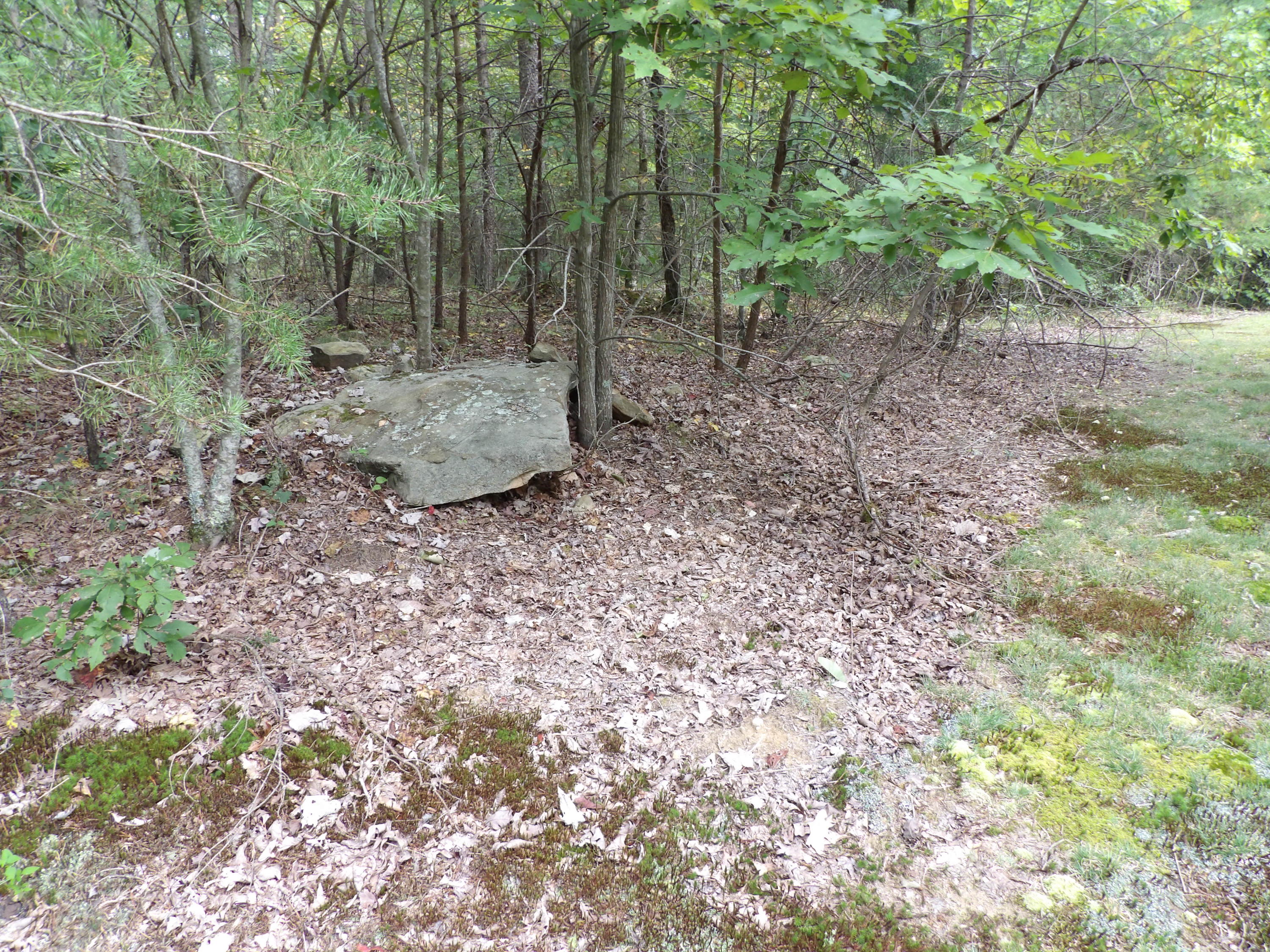 1797 Fernhill Road Pikeville, TN 37367 - Photo 43 of 51 100_0107