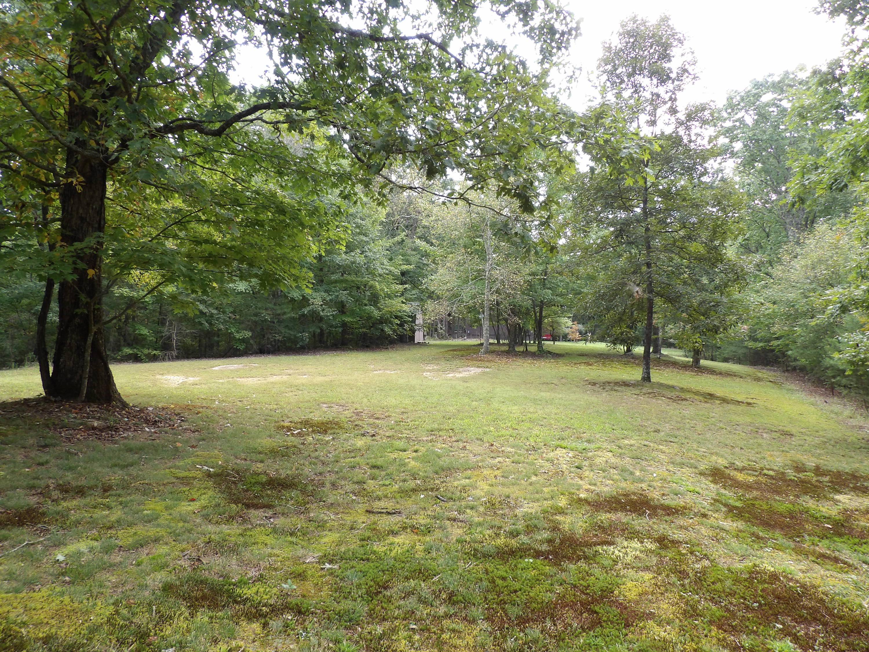 1797 Fernhill Road Pikeville, TN 37367 - Photo 44 of 51 100_0108