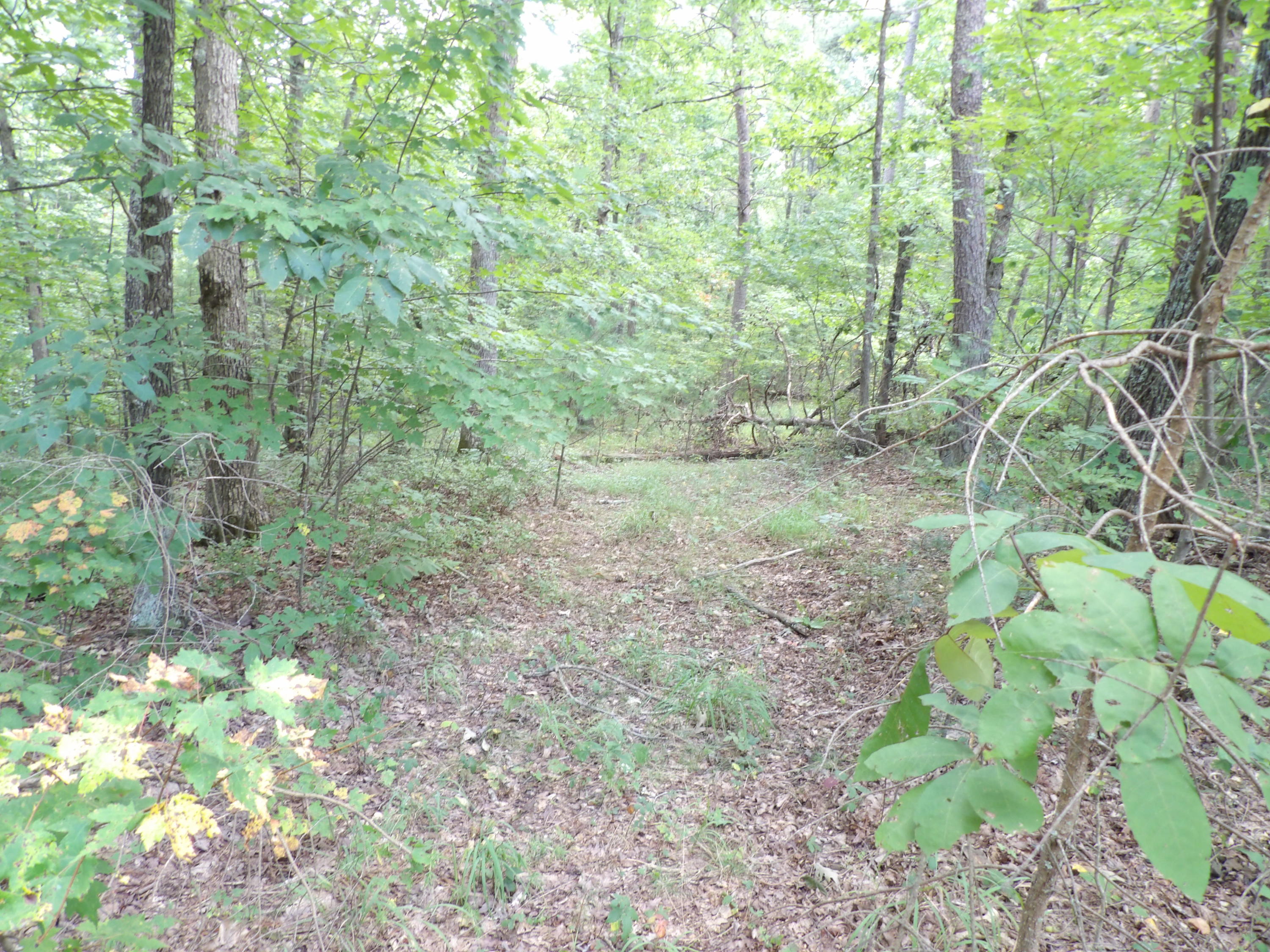 1797 Fernhill Road Pikeville, TN 37367 - Photo 45 of 51 100_0109
