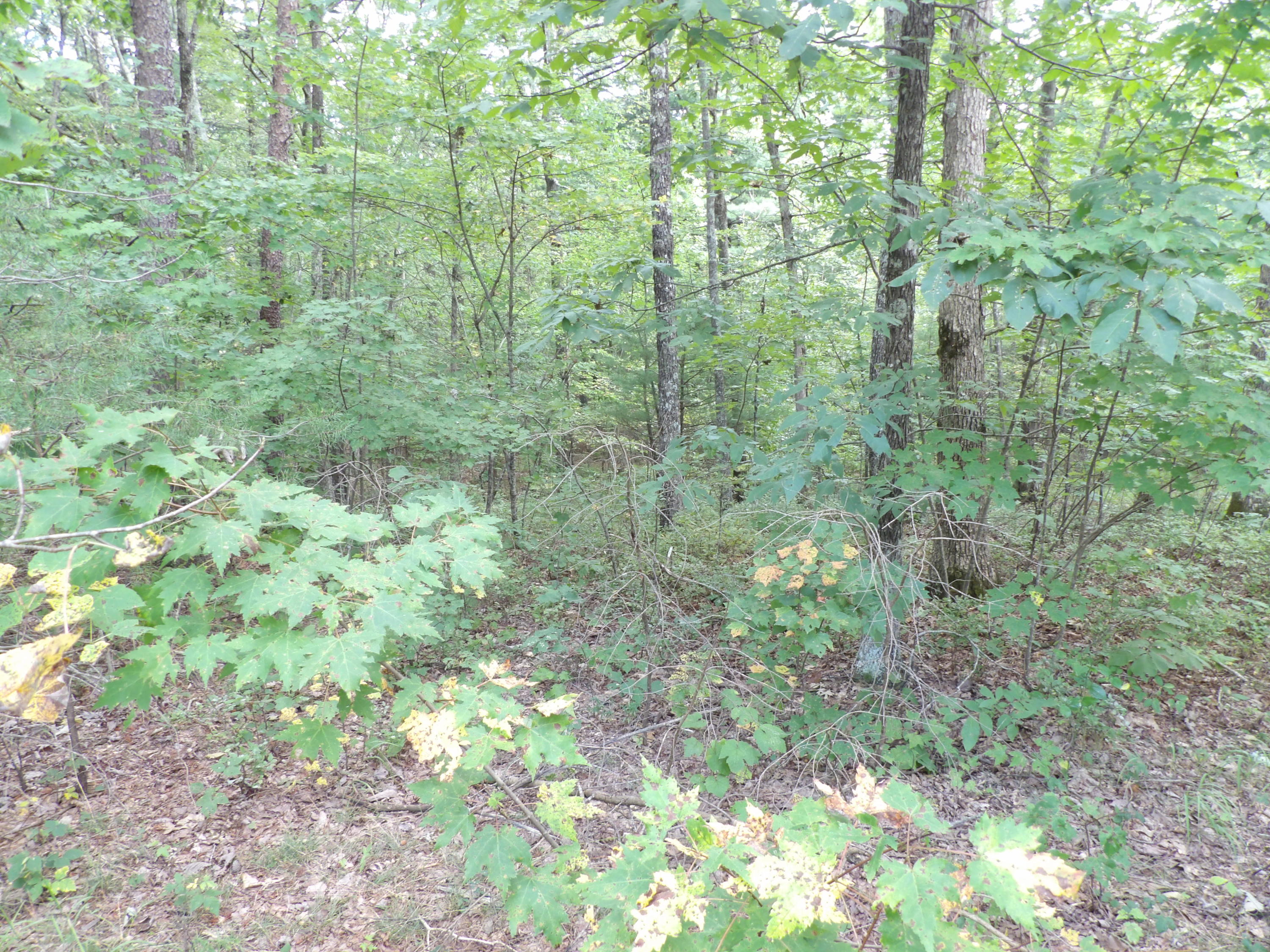 1797 Fernhill Road Pikeville, TN 37367 - Photo 46 of 51 100_0110