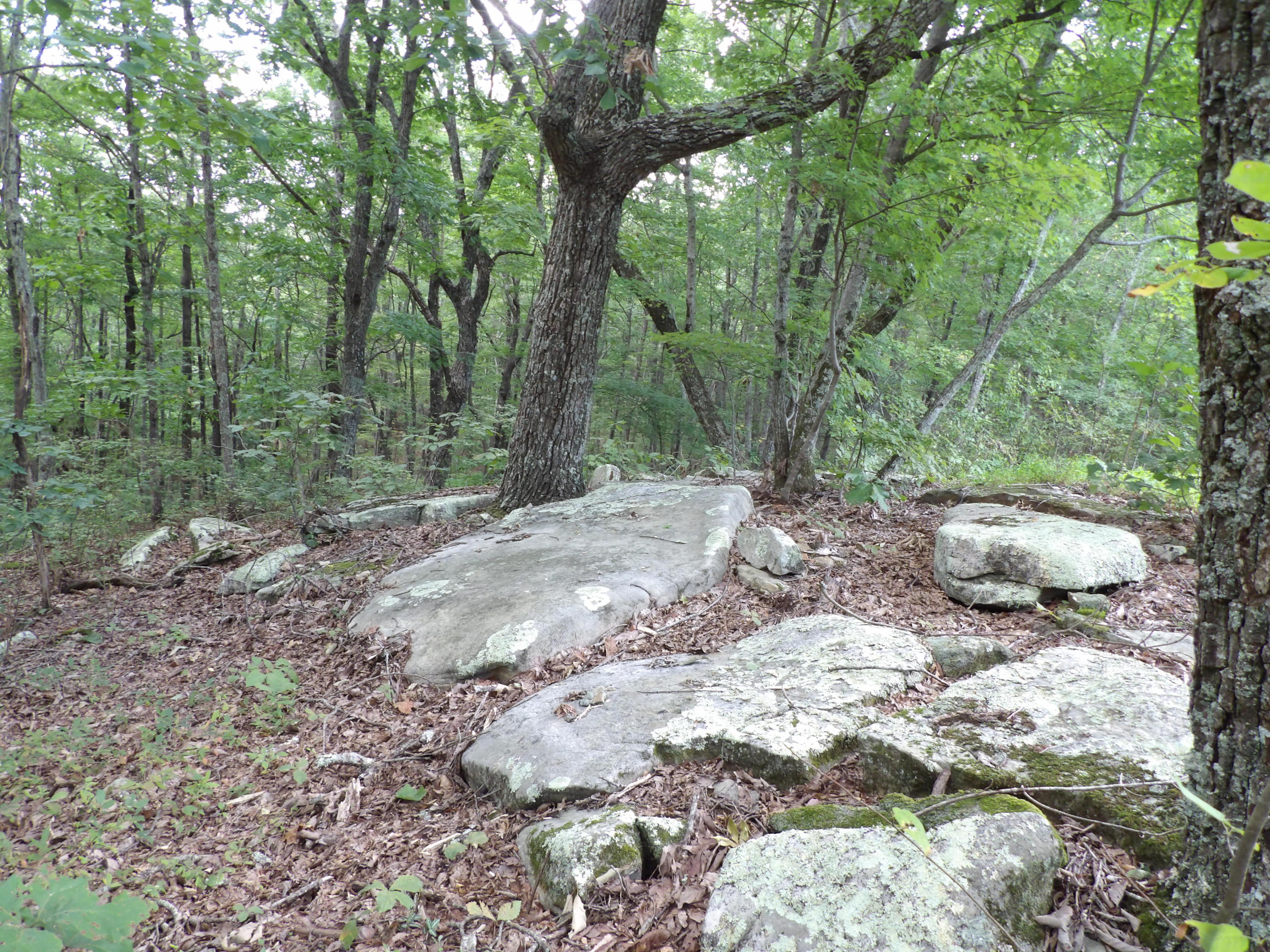 1797 Fernhill Road Pikeville, TN 37367 - Photo 48 of 51 100_0114