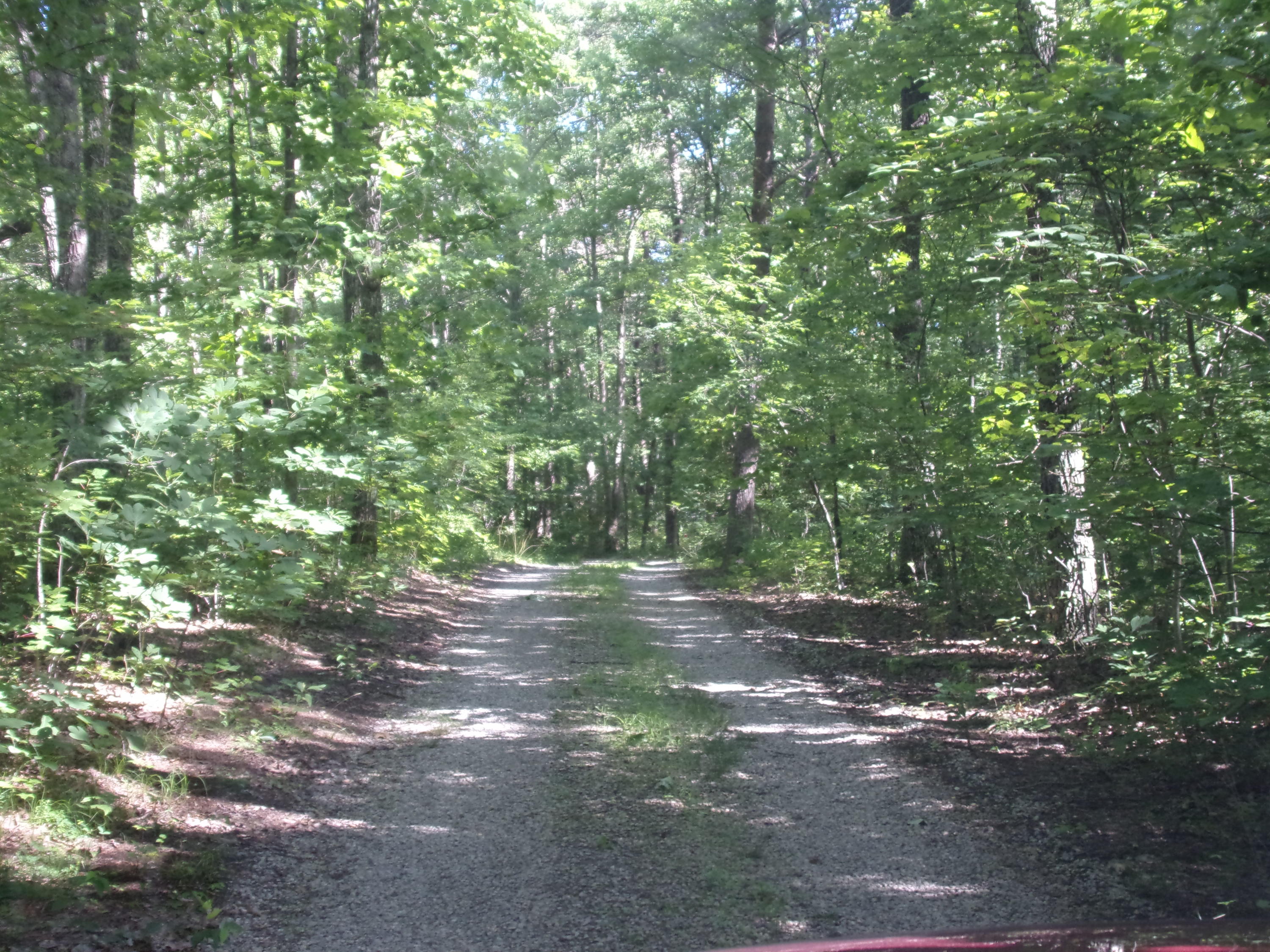 1797 Fernhill Road Pikeville, TN 37367 - Photo 49 of 51 101_3007