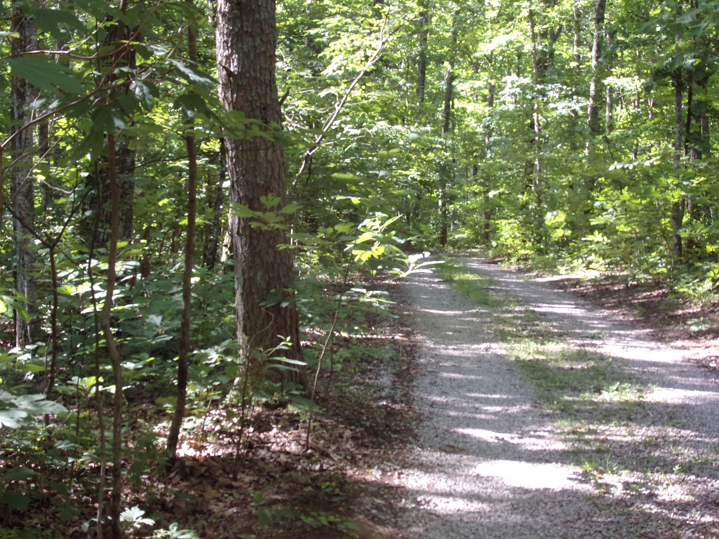 1797 Fernhill Road Pikeville, TN 37367 - Photo 50 of 51 101_3017