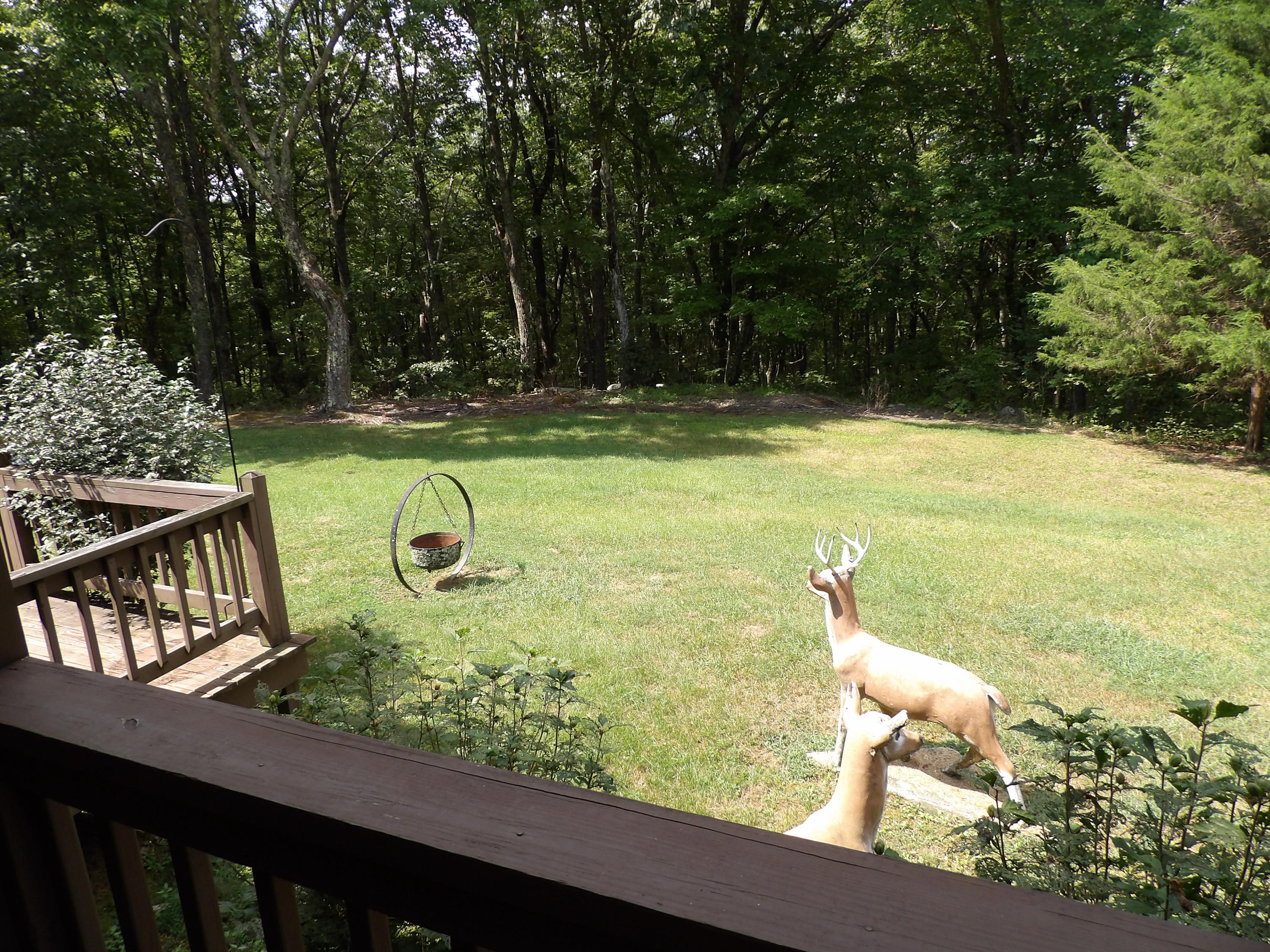 1797 Fernhill Road Pikeville, TN 37367 - Photo 10 of 51 100_0096