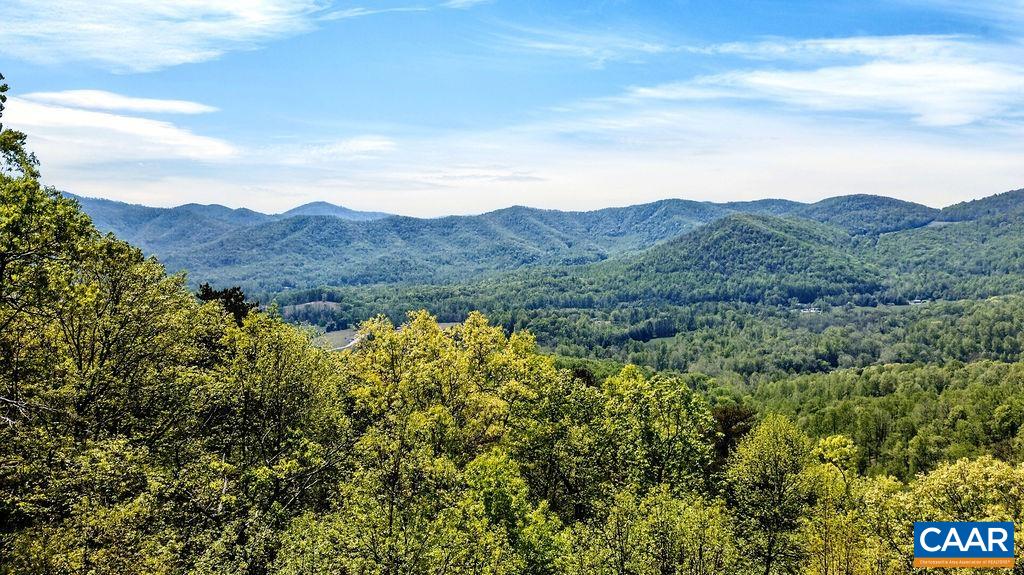 1059 Bryant Mountain Road Roseland, VA 22967 - Photo 56 of 58 a view of a mountain range with lush green forest