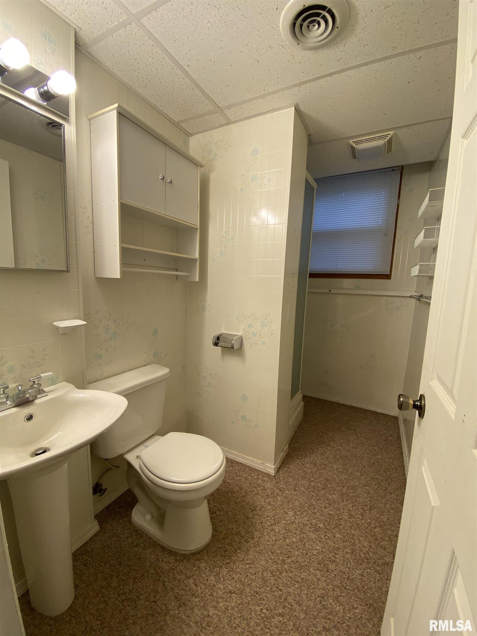 45 Bricker Circle Avon, IL 61415 - Photo 49 of 50